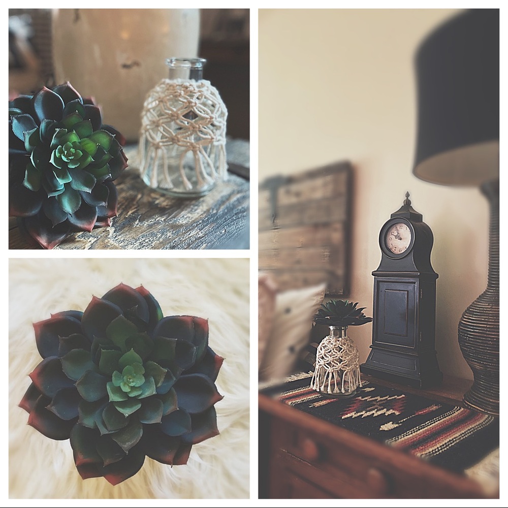 Artisan Macramé Wrapped Glass Bottle | Faux Echeveria Succulent | Boho Decor HP🌵